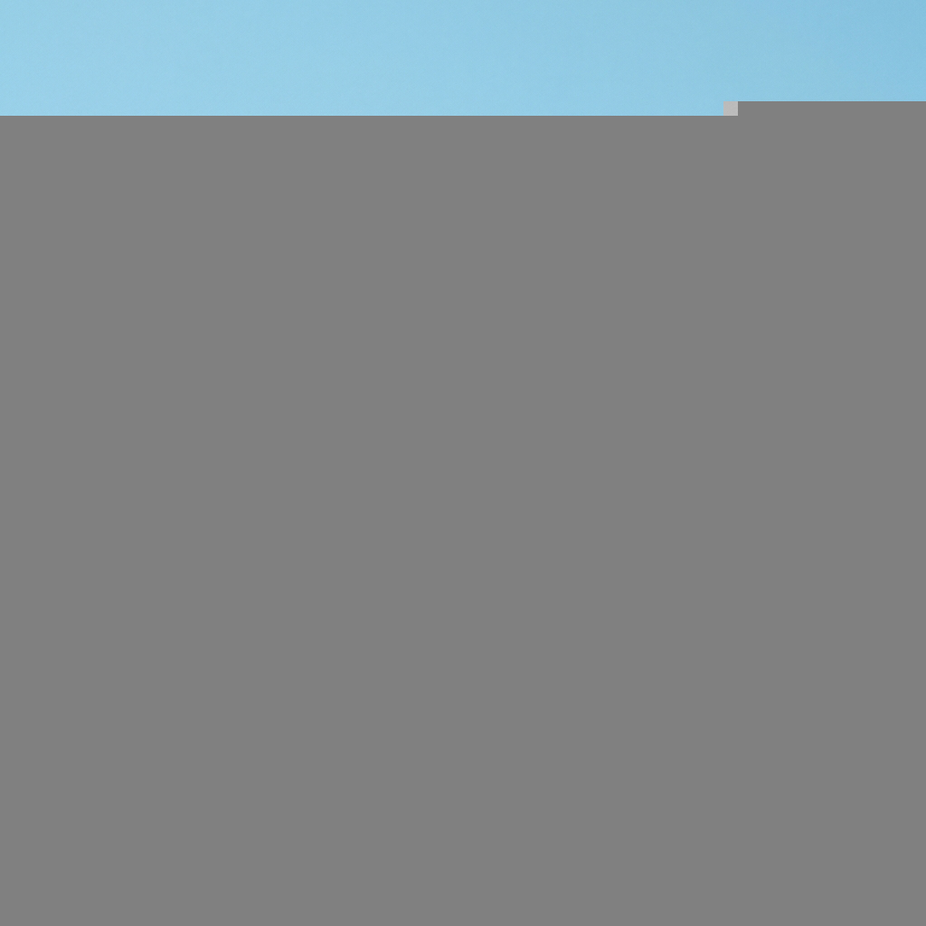 Gants Nitrile Usage Unique (Taille S/M/L)