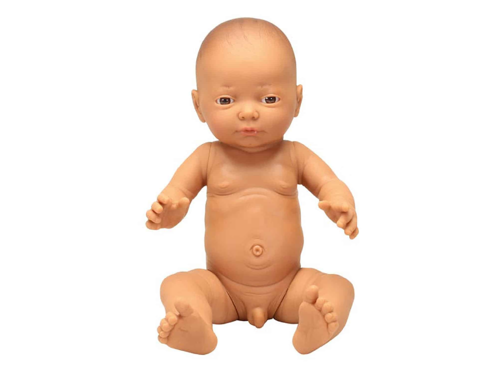 Modèle nouveau - né