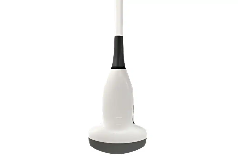 Sonde Convexe pour échographe X1
