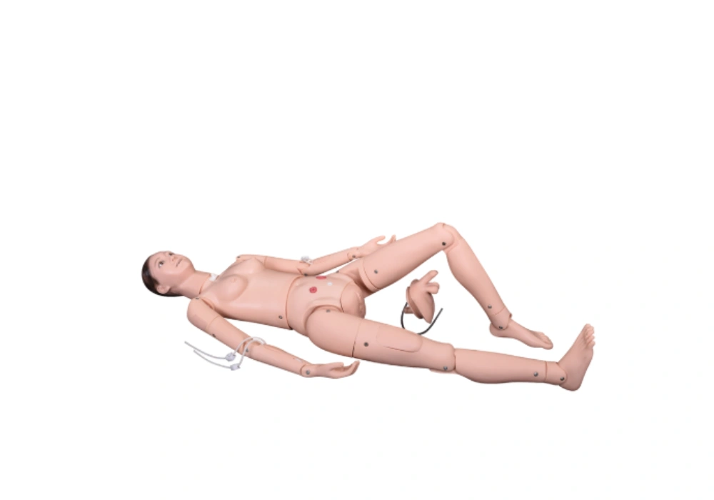 Mannequin multifonctionnel de formation en soins avancés